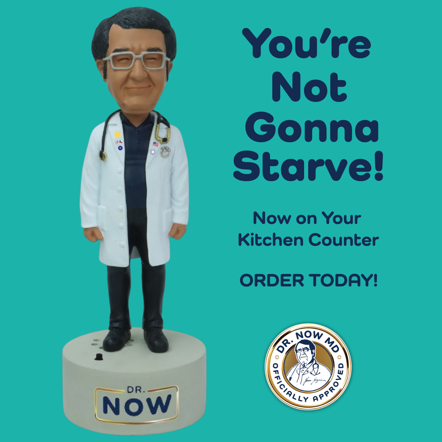 Dr. Now Talking Bobblehead